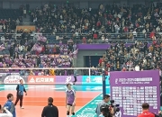 关于蒂姆回归赛场，赛事规则更新首场状态亮眼，加拿大队观众沸腾！的信息