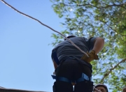 Scout连续五场比赛得分超过大胜，澳大利亚队挑战极限！的简单介绍